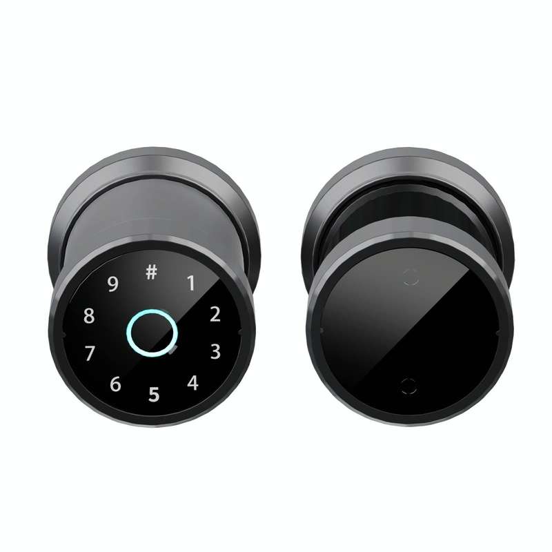 F20 Intelligent Fingerprint Lock Indoor Office Apartment Spherical Lock Doodle APP Lock