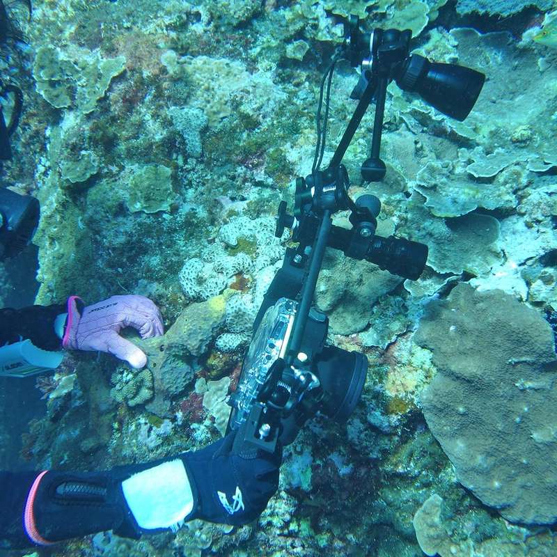 PULUZ 40m Underwater Depth Diving Case Waterproof Camera Housing for Sony A6000 (E PZ 16-50mm F3....