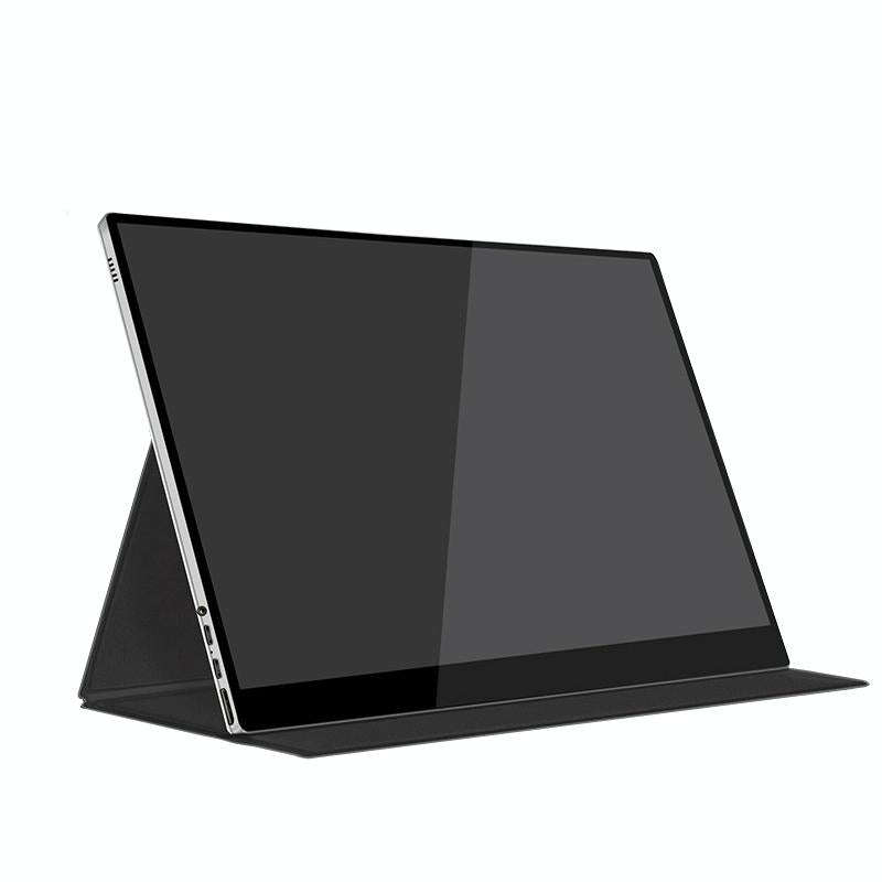 15.6 Inch Portable 1080P Display, Style:Battery Version