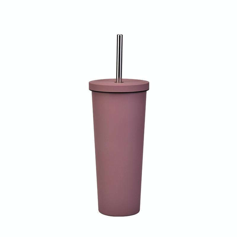 700ml Large Capacity Double Stainless Steel Straw Cup Vacuum Outdoor 304 Insulation Cup Car Water...