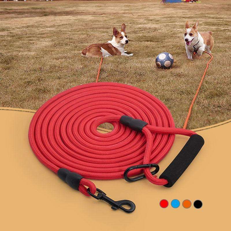 Sh36 Rock Climbing Rope Pet Leash Bold and Long Dog Training Tracking Rope, Size: 10m(8mm Light B...