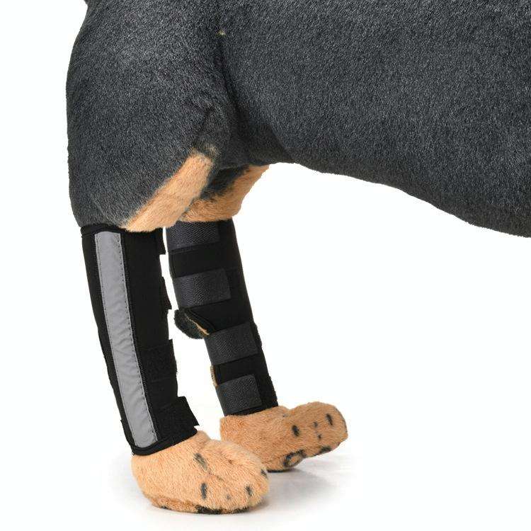 Pet Knee Pads Dog Leg Guards Pet Protective Gear Surgery Injury Sheath, Size: L( HJ28 Reflective ...