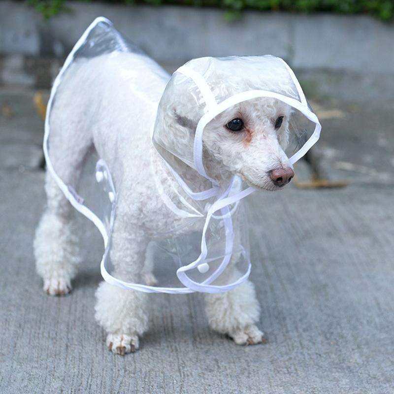 Waterproof Transparent Raincoat Clothing for Pet Dog, Size:M(Green)