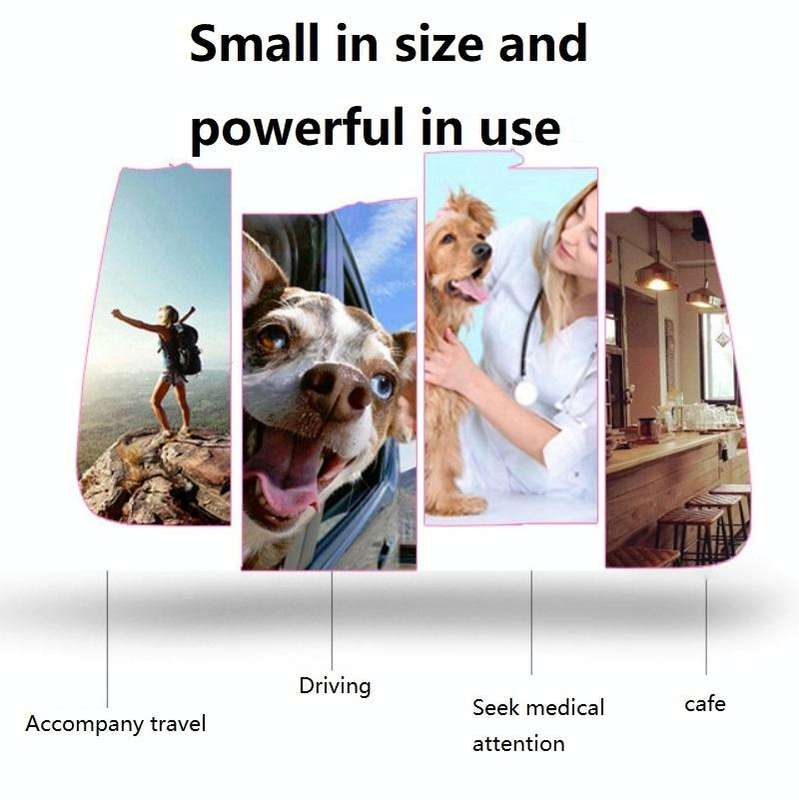 Portable Pet Backpack Dog Go Out Messenger Folding Bag Pet Supplies, Specification: Medium(Green)