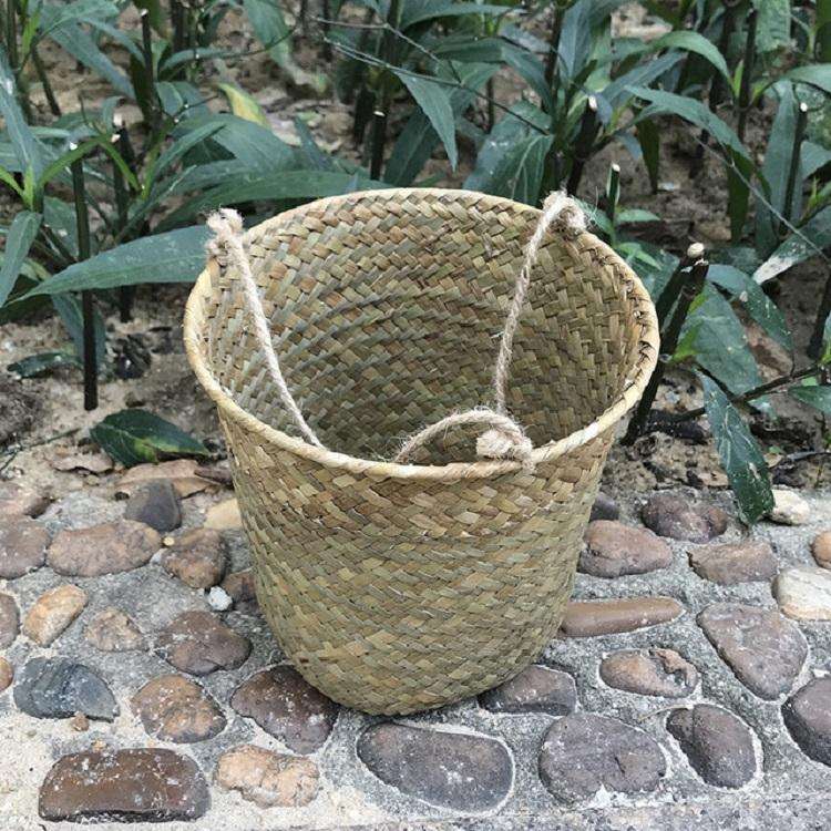 SDTGP5 Succulent Flower Basket Hanging Basket