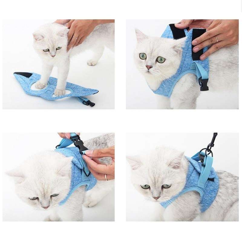 Cat Leash Pet Chest Harness Leash, Size: L(Green)