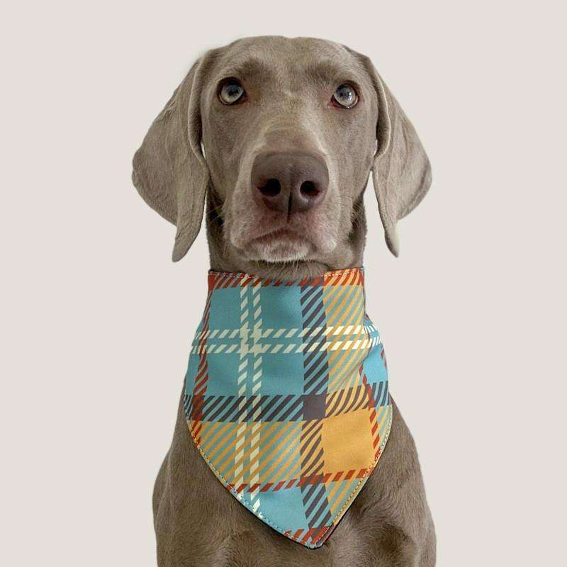 Pet Triangle Towel Three-layer Thickened Waterproof Saliva Towel, Size: S(Yellow Green)