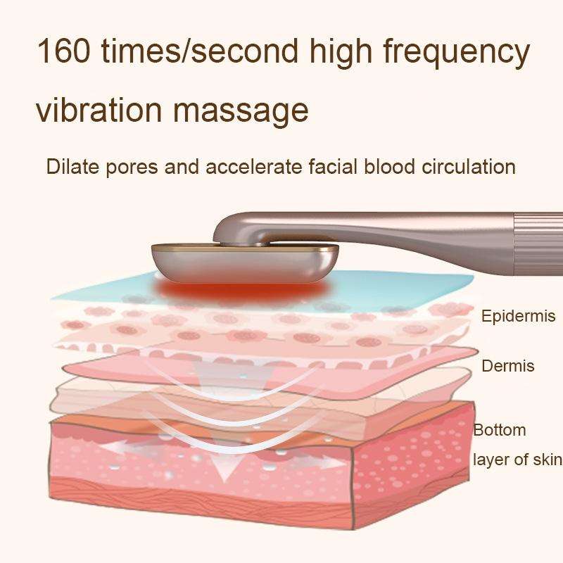 1605 Multifunctional Rotating EMS Micro-Current Radio Frequency Beauty Instrument(Navy Blue)