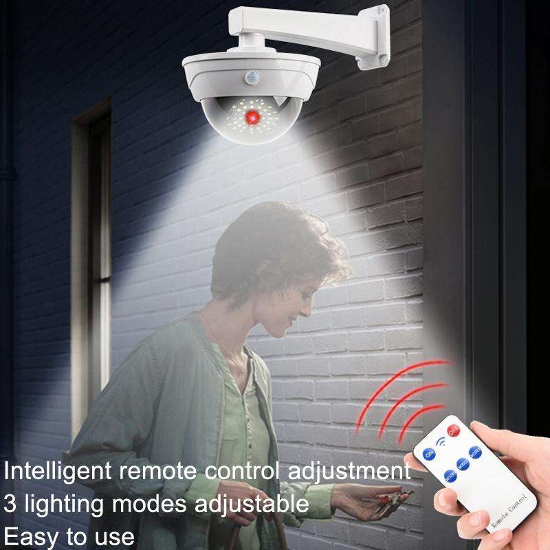 Solar Simulation Camera Monitoring Light Human Body Induction Wall Light(TY11301 LED)