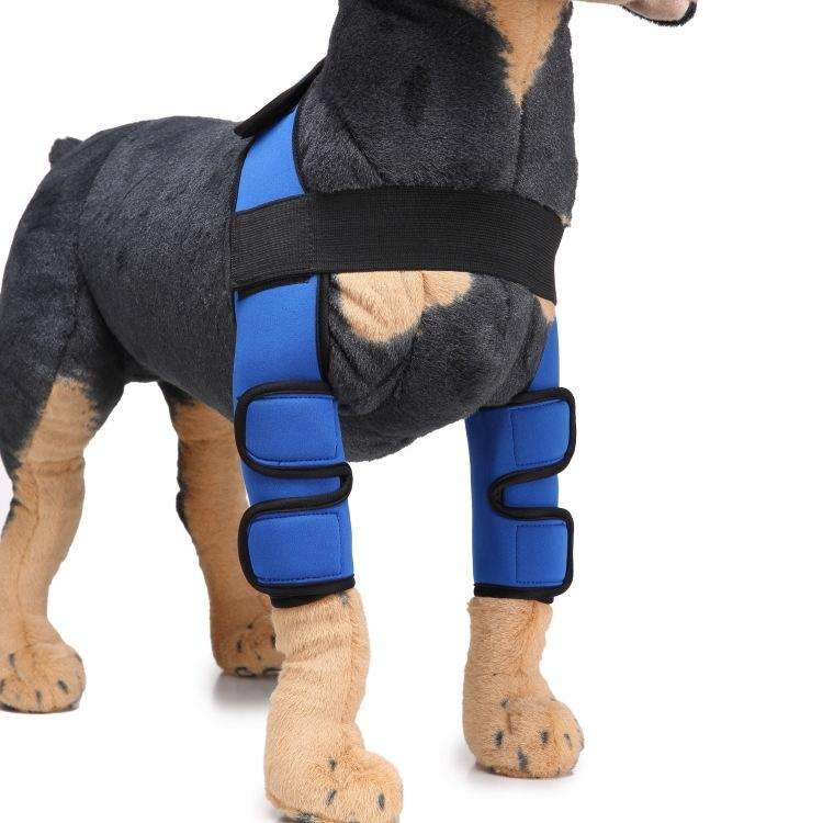 Pet Dog Leg Knee Guard Surgery Injury Protective Cover, Size: M(Classic Model (Blue))