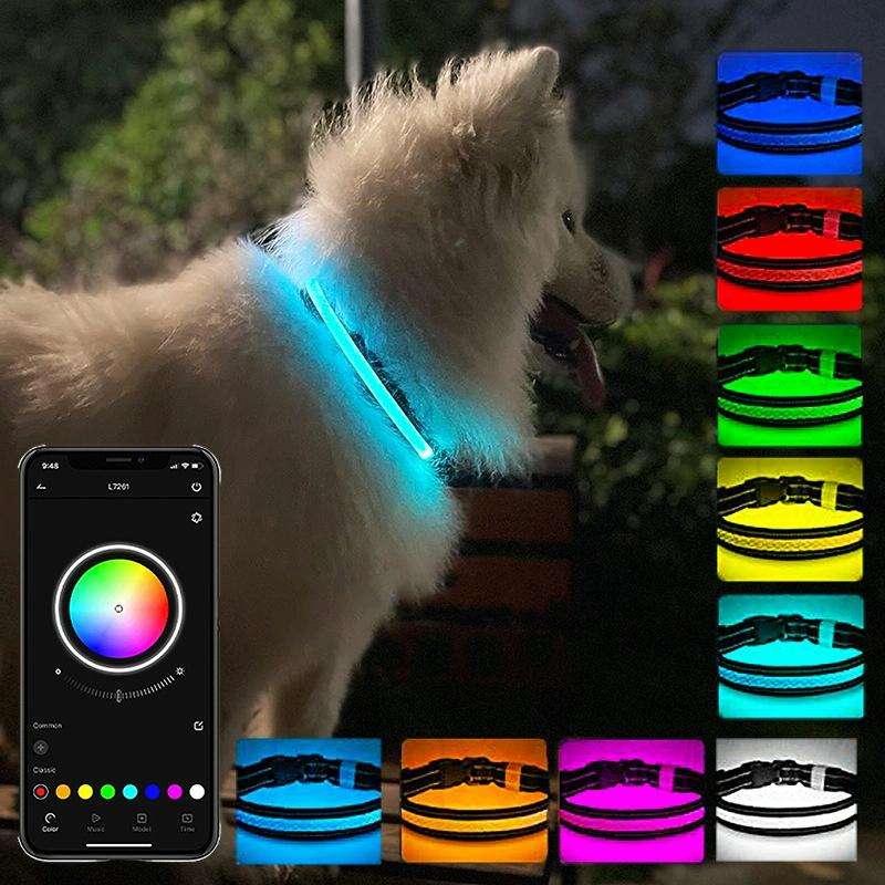 LED Rechargeable Wear-resistant and Waterproof Pet Lighting Collar, Size: M(Black)