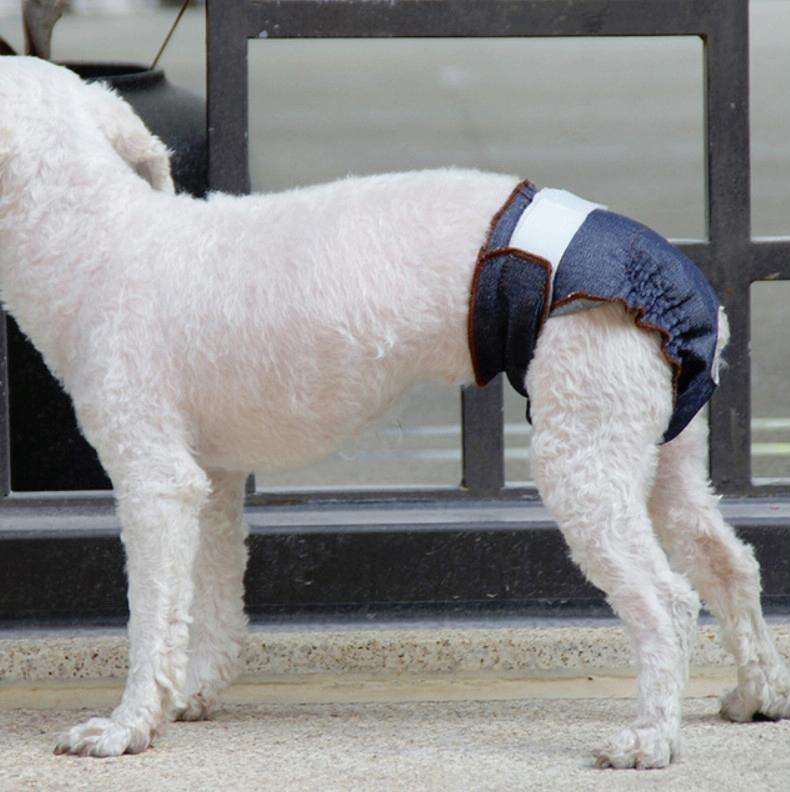 Anti-sorrow Female Dog Physiological Pants Urine-proof And Wet Pet Leak-proof Underwear, Size:L