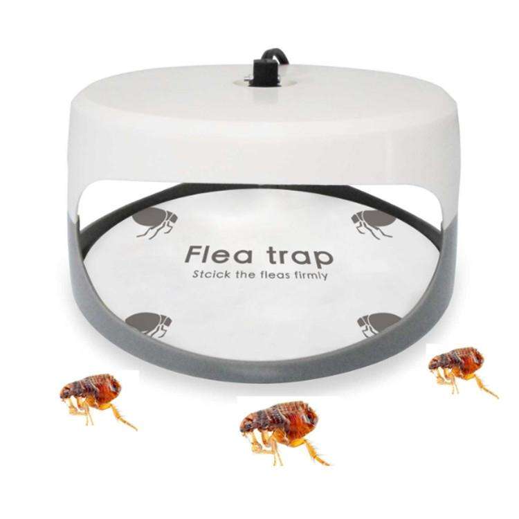 Flea Trap Pet Home Flea Lamp, Plug Type:JP Plug
