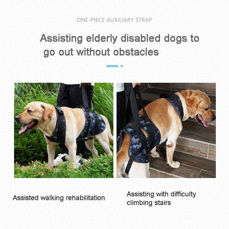 Injured Dog Auxiliary Leash Front and Rear Leg Double Slings For Large and Medium-sized Dogs, Siz...