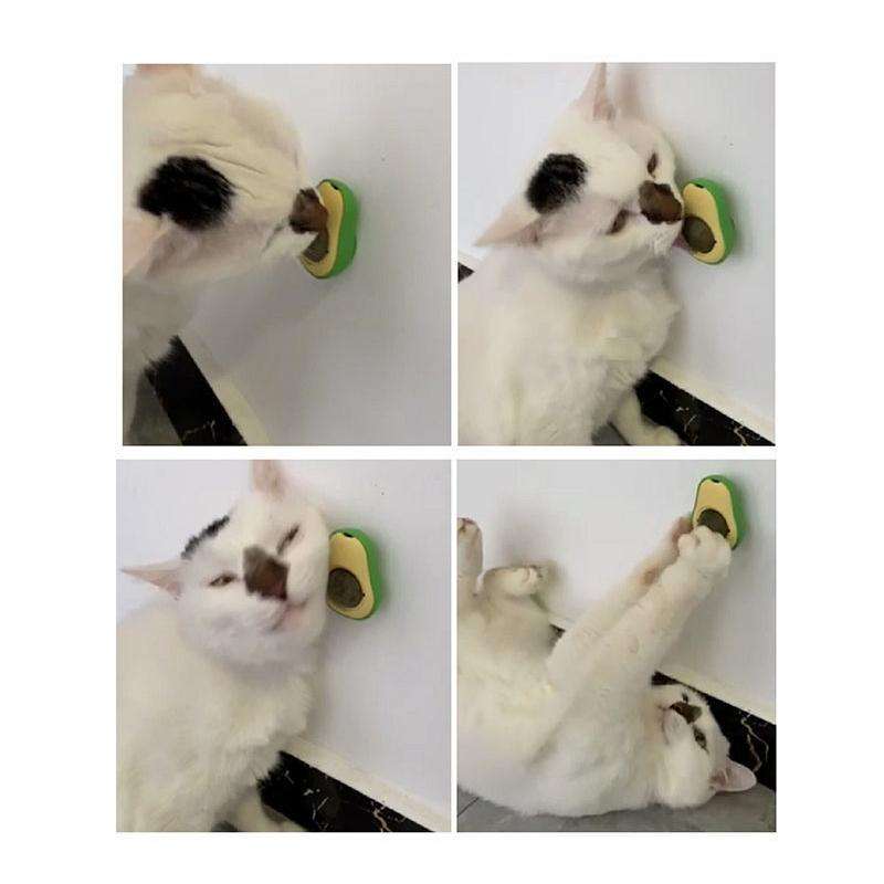 2 PCS Catnip Balls And Avocado Teasing Cat Teeth Cleaning Toy(Gall Fruit)