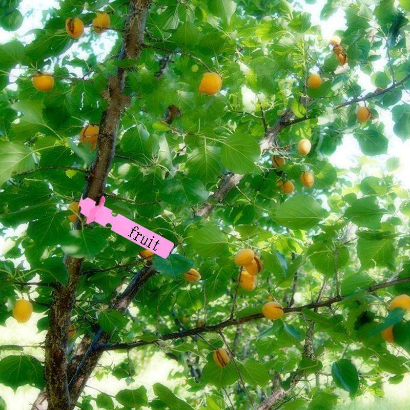 100 PCS Gardening Plant Sapling Seed Hanging Tree Label(White)