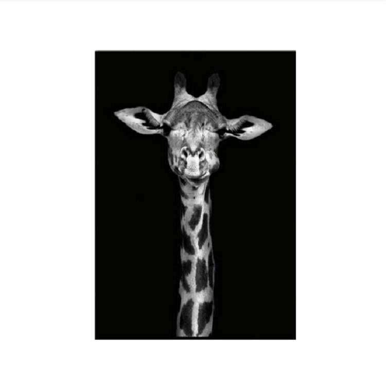 Simple Black and White Animal Decoration Painting Study Living Room Sofa Background Wall Painting...