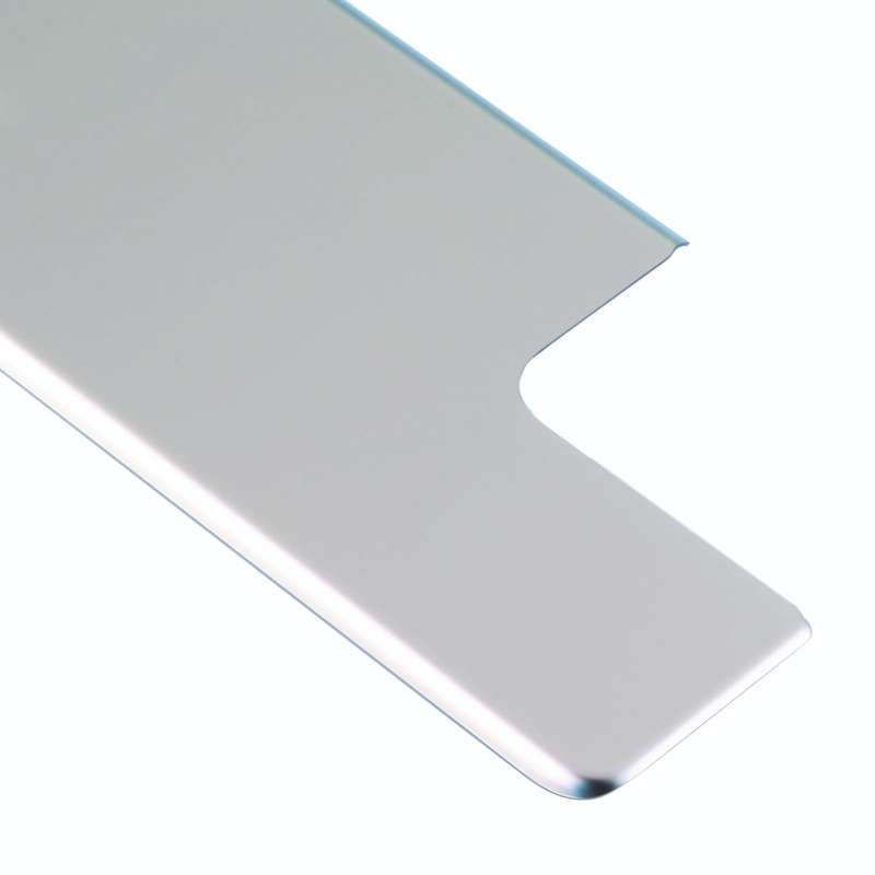 For Samsung Galaxy S21 Ultra 5G Battery Back Cover (Silver)