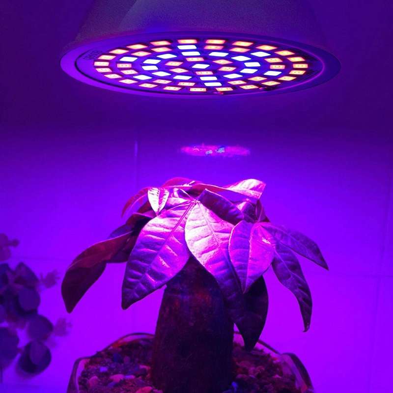 E14 20W 60 LEDs Plant Growth LED Bulb