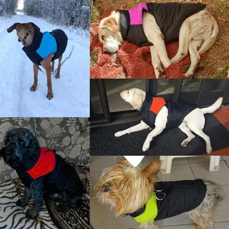 Waterproof Pet Dog Puppy Vest Jacket Chihuahua Clothing Warm Winter Dog Clothes Coat, Size:3XL(Blue)