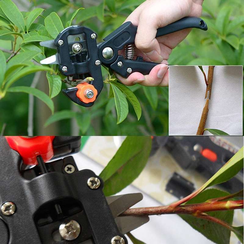 Garden Professional Grafting Cutting Tool / Graft Pruner / Grafting Scissors for Vegetable Fruit ...