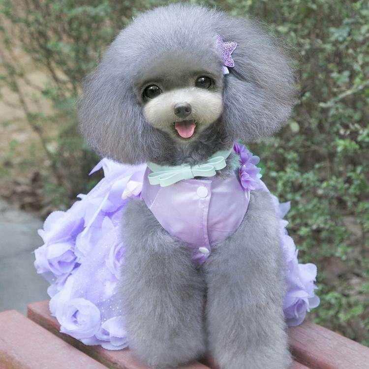 Pet Clothes Dog Spring Summer Thin Dress Rose Dress, Size: S(Pink)