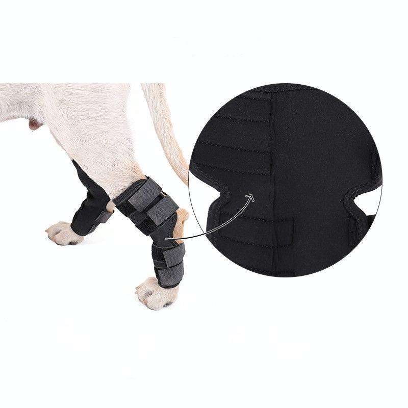 DogLemi PD60041 Dog Hock Brace Pet Supportive Rear Dog Compression Leg Joint Wrap Protects Wounds...