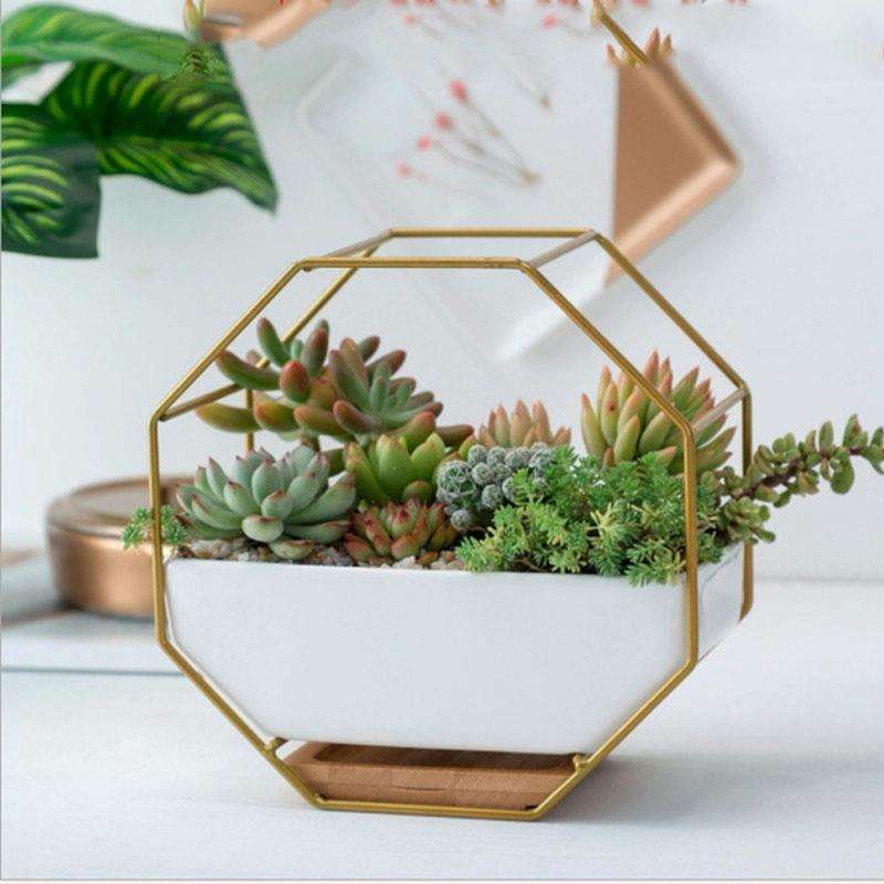 Simple Octagonal Geometric Wall Hanging Table Succulent Platter Bamboo Support Iron Frame Flower ...