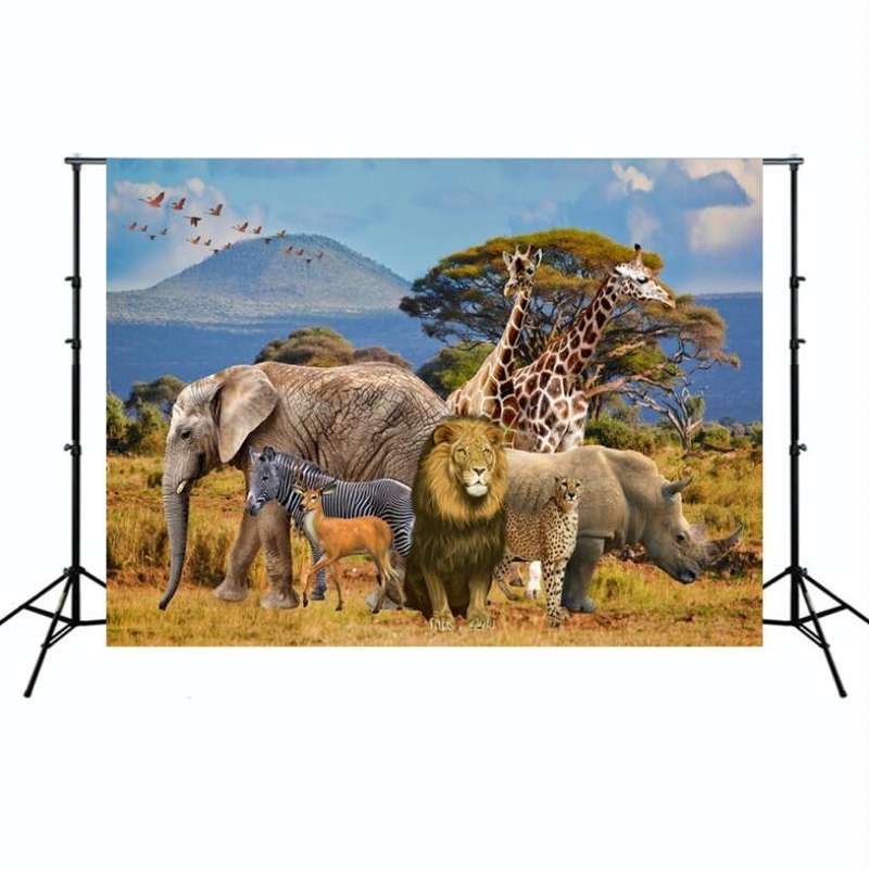2.1m x 1.5m Grassland Lion Animal Photography Background Cloth(W105)