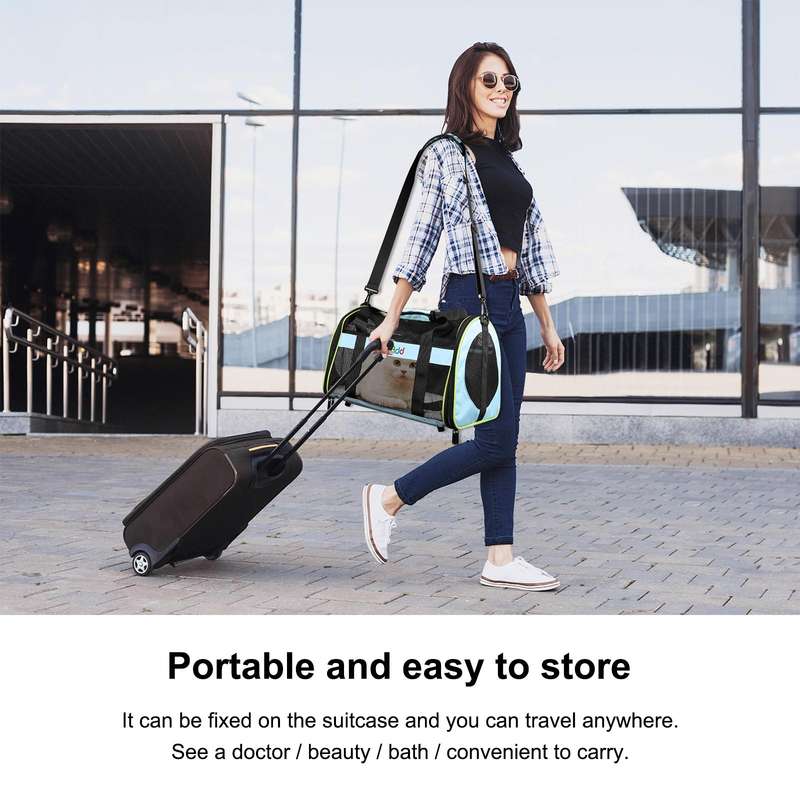 FUNADD Pet Travel Carrier Bag Shoulder Foldable Tote Bag(Blue)