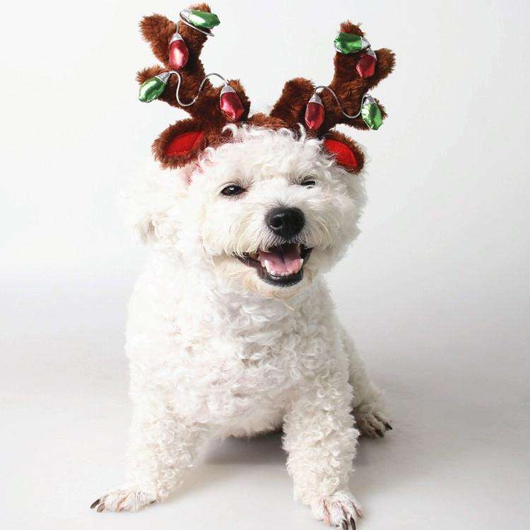 Pet Supplies Puppy Christmas Hat Holiday Jewelry Sequined Antlers, Size: M