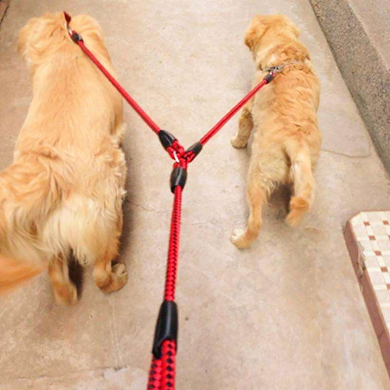 Double Dog Leashes Anti-winding Pet Traction Rope, Size:1.4m(Black)