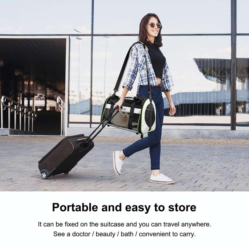 FUNADD Pet Travel Carrier Bag Shoulder Foldable Tote Bag(Grey)