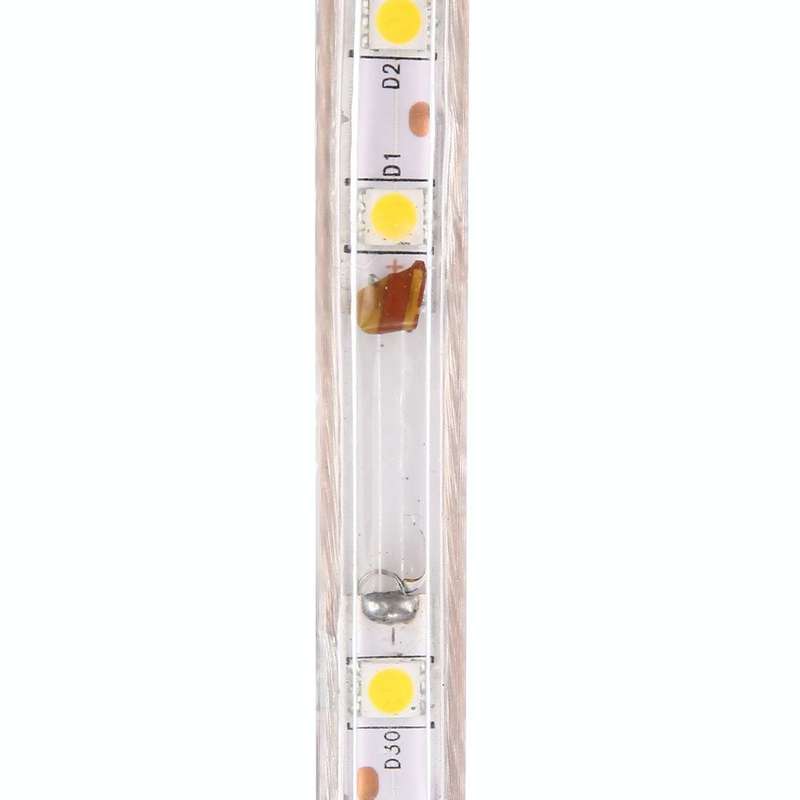 Casing Waterproof LED Light Strip, Length: 2m, Waterproof IP65 SMD 5730 LED Light with Power Plug...