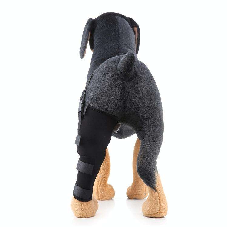 HJ19 Pet Surgery Rehabilitation Back Leg Protector Walking Aids, Size: L(Black Left Back Leg)