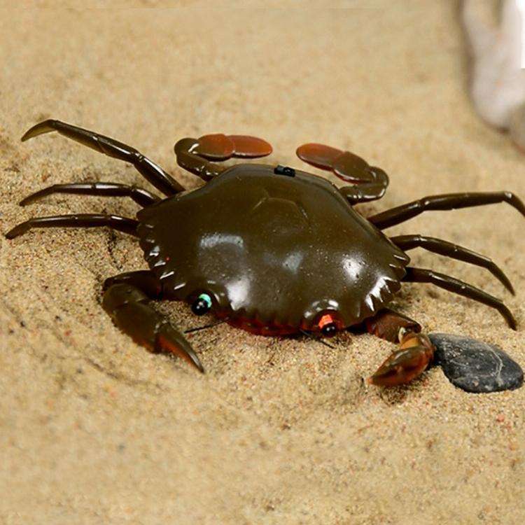 9995 Infrared Sensor Remote Control Simulated Crab Creative Children Electric Tricky Toy Model (Y...