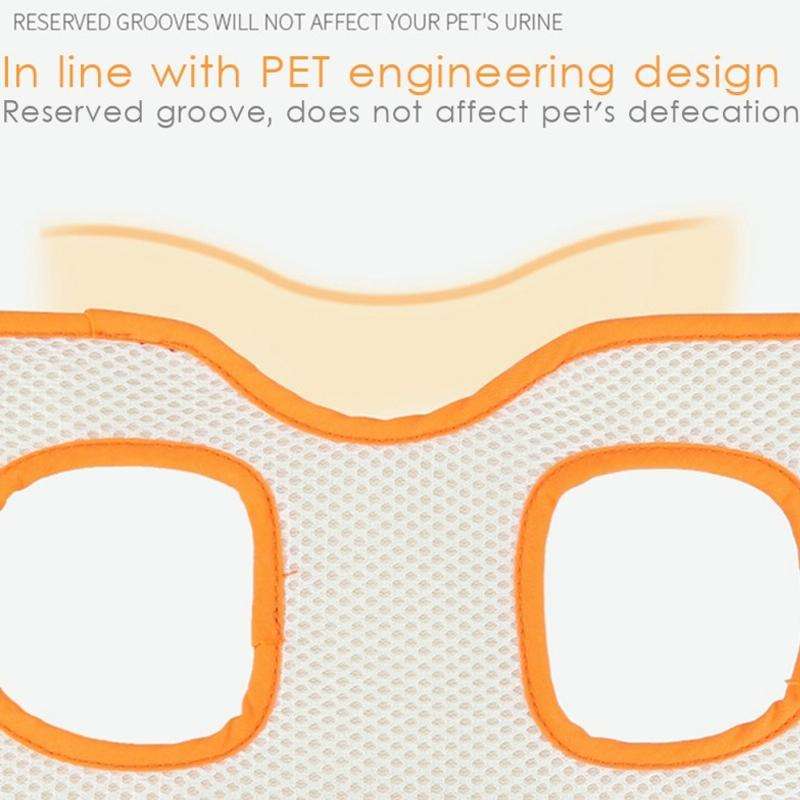 Pet Leash Assistive Belt For Postoperative Disabled Elderly Dogs Hind Legs XL