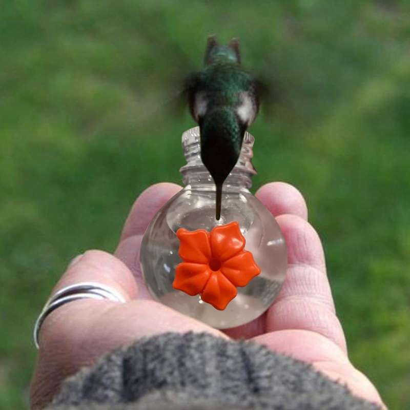Hanging Bird Feeder Outdoor Hummingbird Feeder Bulb