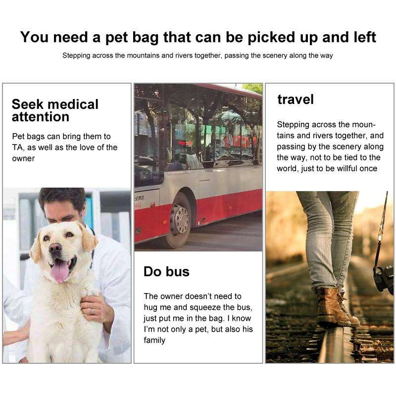 EVA Portable Folding Pet Tote Pet Carrier Bag(Beige)