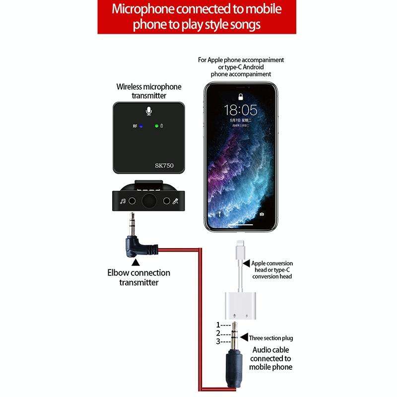 SK750 Type-C Charging One for One Wireless Lavalier Mini Microphone(Black)