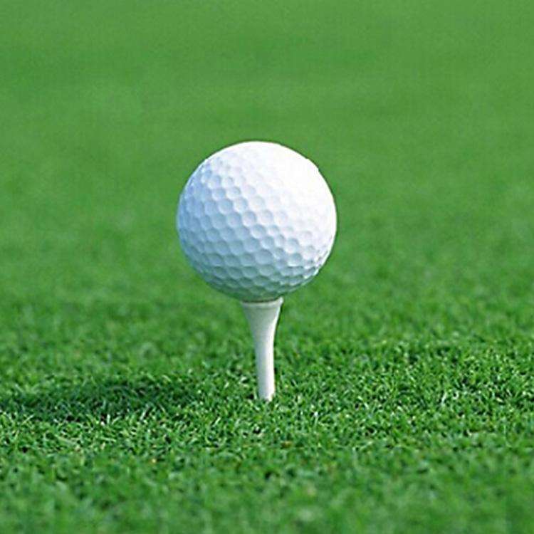 Synthetic Rubber Driving Range Golf Balls, Double Layer Blank Elastic Golf Balls