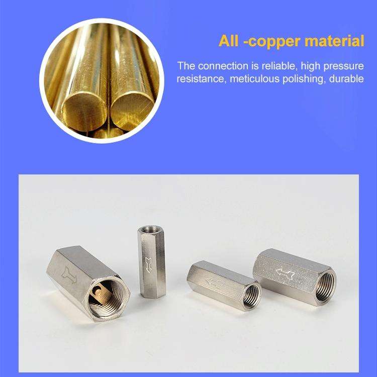 CV-4 LAIZE Pneumatic Components Check Valve