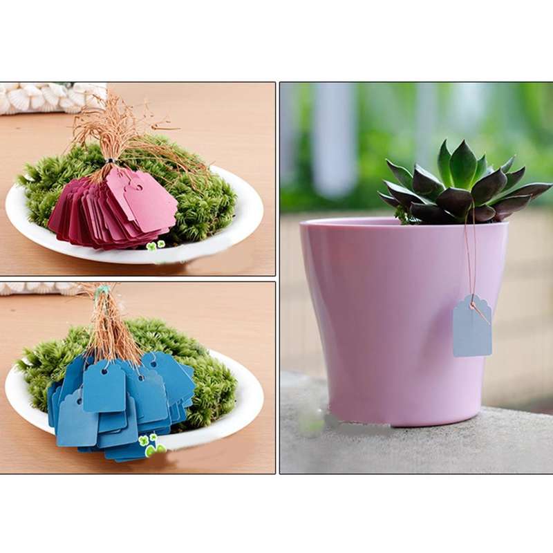 100 PCS Waterproof Durable and Reusable Plastic Nursery Garden Plant Label Flower Tag Mark Plant ...
