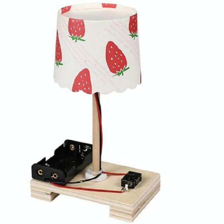 Creative DIY Small Table Lamp Technology Small Production Primary School Students Manual Material...