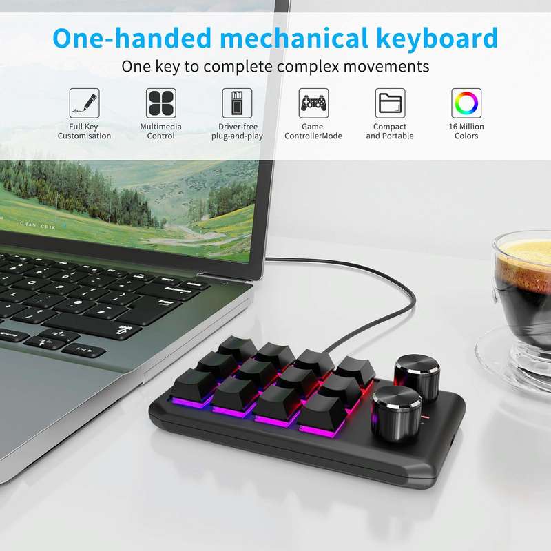 USB Wired 12KV2 MOLD Mini Mechanical 12 Keys 2 Knob Custom Programming Keyboard(Black)