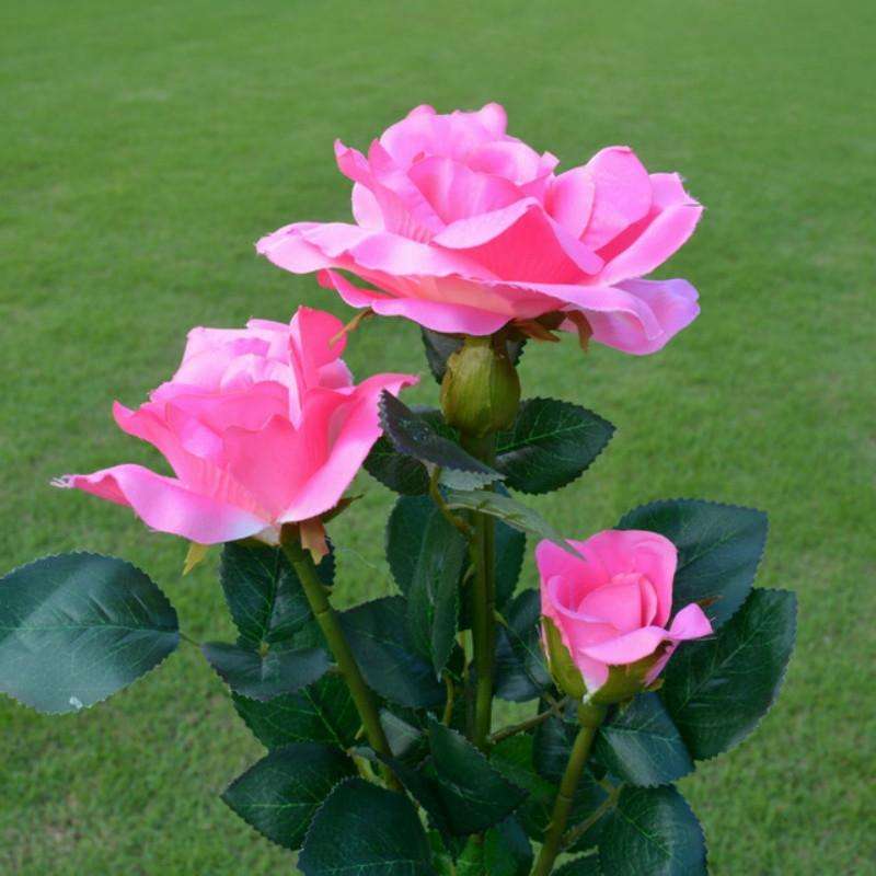 Solar LED Artificial Rose Lantern Garden Decoration Lawn Lamp(Pink)