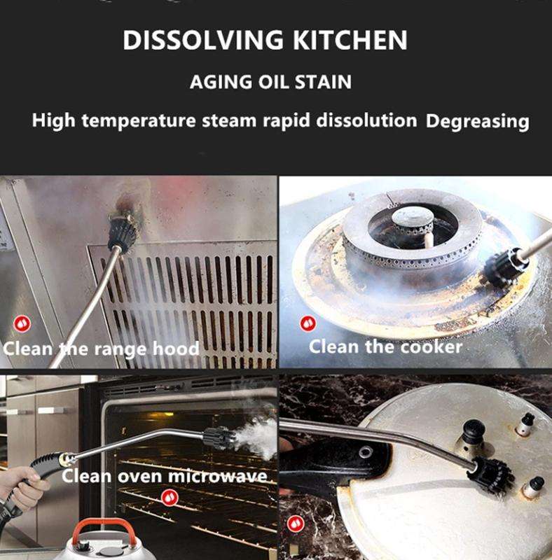 Steam Cleaner High Temperature Sterilization Cleaning Machine with 1L Water Tank 110V US Plug(Ora...
