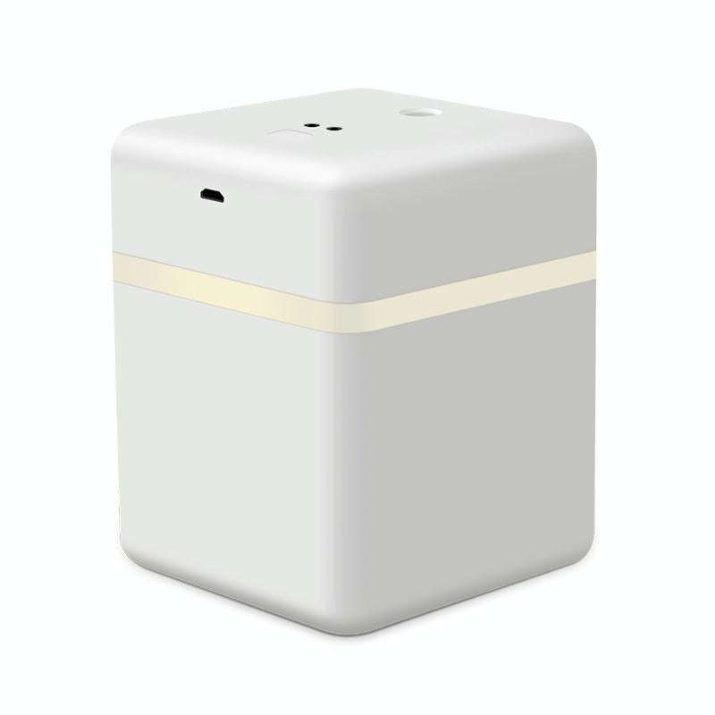 600ML Alcohol Sterilizer Induction Automatic Sprayer Clean Hand Atomizing Humidifier(White)