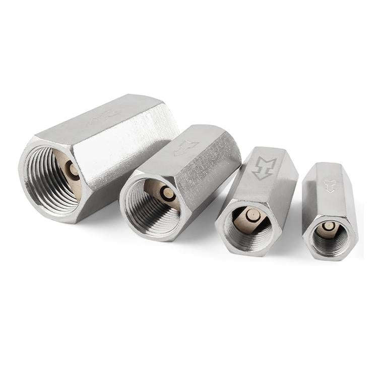 CV-3 LAIZE Pneumatic Components Check Valve