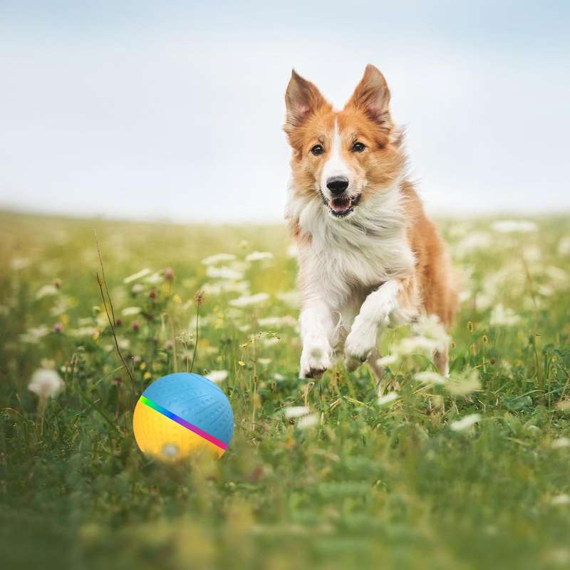 O3 8.5cm Intelligent Auto Pet Toy Dog Training Luminous Ball with Radar Trigger(Yellow+Blue)